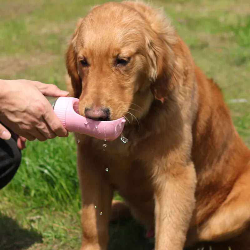 Garrafa de água para cachorro